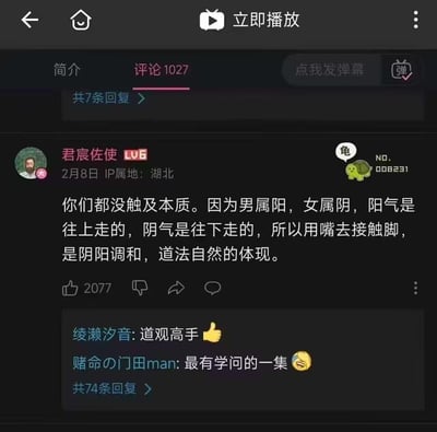 这是一张视频平台评论区的截图，显示了一条获得2077个赞的幽默评论。用户"君宸佐使"用阴阳学说一本正经地解释某种行为是"阴阳调和，道法自然的体现"，引发其他用户调侃回复"道观高手"、"最有学问的一集"。界面显示评论总数1027条，IP属地为湖北。