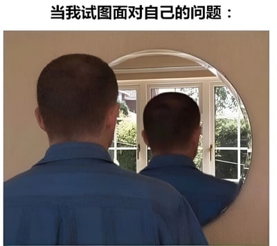 图片上方有黑色文字'当我试图面对自己的问题：'，下方是一名身穿蓝色衬衫的男子背影，他正站在一面圆形镜子前，镜子中清晰映出他头顶明显的秃顶区域。通过男子试图正视问题却直面秃顶现实的场景，以幽默方式调侃人们面对自身缺点时的无奈与真实状态。