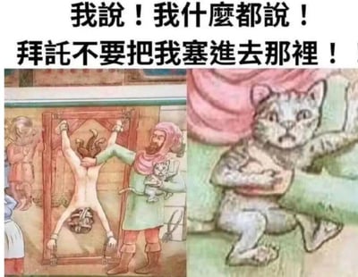 这是一张由两张图片拼接而成的梗图。上方有文字："我說！我什麼都說！拜託不要把我塞進去那裡！"。左侧图片是一幅历史风格的插画，描绘一个人被吊起来，另一个人正举着他。右侧图片是一只表情惊恐的猫，似乎在挣扎。图片通过将猫的表情与左侧的场景和文字结合，形成一种幽默效果，仿佛猫在惊恐地求饶。