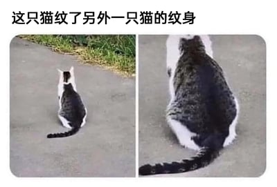 暂无描述