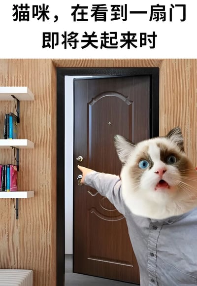 图片展示了一只戴着人类手臂的猫咪，正伸手阻止一扇即将关闭的木门。猫咪表情惊讶，眼睛睁大，嘴巴微张，身穿灰色衬衫。背景是木质墙面和白色书架，书架上摆放着几本书籍。图片上方配有文字'猫咪，在看到一扇门即将关起来时'，幽默地表现了猫咪对关门动作的典型反应。