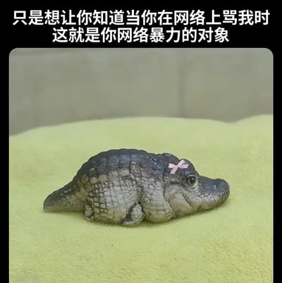 图片上方有一行白色文字："只是想让你知道当你在网络上骂我时这就是你网络暴力的对象"。下方是一只趴在黄色表面上的鳄鱼玩偶，它的头部戴着一个粉色的蝴蝶结，表情平静，身体呈现出灰黑色和白色的纹理。这张图片通过可爱的鳄鱼玩偶与网络暴力的严肃主题形成反差，用幽默的方式呼吁人们在网络上保持友善。