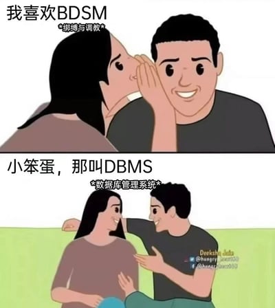 这是一张上下两格的漫画梗图，通过谐音梗制造笑点。上格中，一位女性正对着男性的耳朵小声说话，配文"我喜欢BDSM"并标注"*绑缚与调教*"。下格中，男性笑着纠正道"小笨蛋，那叫DBMS"并标注"*数据库管理系统*"。图中通过BDSM(绑缚与调教)和DBMS(数据库管理系统)两个英文缩写的发音相似性制造幽默效果，展现了一个关于技术术语的搞笑误会。