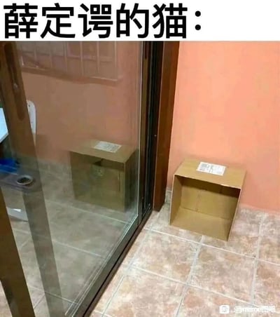 这张图片通过视觉错位的方式幽默化演绎了量子力学中的“薛定谔的猫”思想实验。画面右侧地面上是一个开口的空纸箱，而左侧玻璃门的反射中，这个纸箱看起来像是一个封闭的盒子，形成了“同一个箱子同时处于打开和封闭两种状态”的视觉效果，对应薛定谔的猫实验中“未观测时，系统处于两种状态叠加”的核心概念，图片上方的文字“薛定谔的猫：”点明了玩梗的主题，用生活中的常见场景巧妙地诠释了抽象的量子物理概念，充满趣味性。