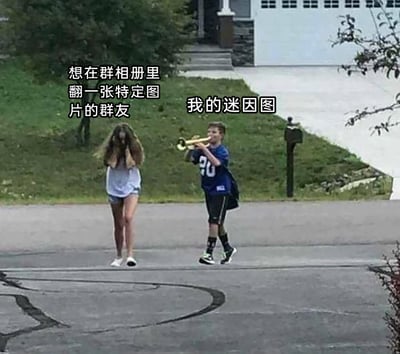这是一张用于调侃群聊社交场景的文字加注梗图。画面呈现户外道路场景，左侧女生双手捂脸，姿态崩溃，对应文字标注“想在群相册里翻一张特定图片的群友”；右侧男孩边走边吹奏喇叭，制造出吵闹的氛围，对应文字标注“我的迷因图”。该图用生动的真人场景比喻：当有人试图在堆满迷因图的群相册里寻找特定图片时，大量刷屏的迷因图就像喇叭的噪音一样，让找图的人更加烦躁崩溃，精准还原了群相册找图时被无关内容干扰的无奈与崩溃感。