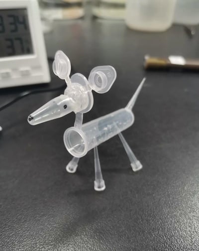 这是一张用实验室常用的塑料耗材（如离心管、移液器吸头、PCR管盖等）手工拼接制作的小狗造型摆件的实拍图。透明的塑料部件被巧妙组合，构成了小狗的头部、身体、四肢和尾巴，造型生动有趣，展现了创作者的动手能力和创意，把原本用于实验的器材变成了可爱的手工小物件，适合在实验室场景中作为趣味小装饰。
