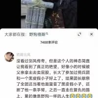 这是一张竖屏的社交媒体平台截图，顶部是用户发布的内容，配文“大家都在说：野格配乌苏”，并附带了野格利口酒与乌苏啤酒的实拍图；下方是一条获7406条评论的高赞留言，用户“夜雨生风”讲述了一个极具戏剧性的传奇人生：主人公年少随父混黑道，成年后参与缅甸内战、当过雇佣兵，回国后因当街伤人入狱，出狱后又因伤害前妻获刑，最终在寺庙中做后勤，过着类似鲁智深的生活。整个内容充满荒诞感与冲击力，引发关注。