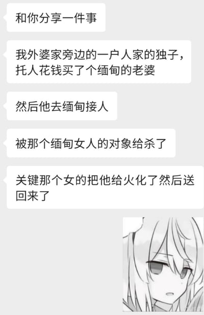 这是一张竖屏的图文混排聊天记录截图，内容为用户分享一则离谱的社会事件：外婆家邻居的独子托人花钱购买缅甸妻子，前往缅甸接人时被该女子的对象杀害，随后女子将他火化后送回。截图最后搭配了一张面露无奈、震惊神情的二次元白发少女表情包，用以传递对这件事的难以置信与无语情绪。
无任何双关、谐音梗或暗示类内容。