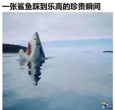 这是一张恶搞二次创作的梗图，将经典惊悚电影《大白鲨》里鲨鱼弓起身体、张大嘴巴冲出水面的惊悚镜头，配上文字“一张鲨鱼踩到乐高的珍贵瞬间”，把原本凶猛的鲨鱼姿态脑补成踩到乐高颗粒后疼痛难忍的反应。
梗点解析：很多人都有踩到乐高小颗粒的痛苦经历，用原本充满威慑力的大白鲨代入这个日常痛感场景，形成强烈反差，制造出荒诞搞笑的效果，引发网友对痛感的共鸣。