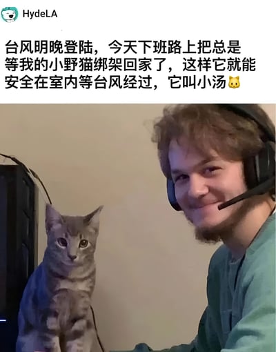 图片上半部分是一段文字说明，内容为：'台风明晚登陆，今天下班路上把总是等我的小野猫绑架回家了，这样它就能安全在室内等台风经过，它叫小汤🐱'。下半部分是一张照片，照片中一名戴着黑色耳机的男子侧身而坐，旁边有一只灰色条纹的小野猫，表情看起来有些警惕但平静。整个画面展现了在台风来临前救助流浪猫的暖心场景。