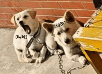 这张表情包展示了两只狗狗的不同状态：左侧狗狗大张嘴巴，神态激动，配文“（呐喊）”；右侧狗狗耷拉着脑袋，看起来无精打采、迷茫，配文“（彷徨）”。该图玩了鲁迅经典文集《呐喊》《彷徨》的梗，用狗狗的神态精准对应文集名称的情绪感，搞笑又贴切，常被用来表达自己崩溃、迷茫的情绪。