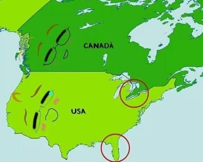 这是一张简化的北美地图，加拿大区域为深绿色，美国区域为浅绿色。地图上标注了“CANADA”和“USA”字样，两国境内均有黑色和橙色的手绘风格形状及线条，美国区域内还可见红色的“NY”字样。此外，美国的佛罗里达半岛和东北部地区（可能为新英格兰或五大湖区域）被红色圆圈重点标注，整体风格偏向趣味说明性。