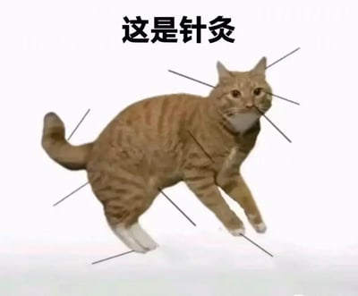 一张幽默搞笑的图片，画面主体是一只正在跳跃的橘猫，猫的身上被人用黑色线条标注出多个类似针灸穴位的位置，图片上方配有文字“这是针灸”。通过将猫咪的胡须和身体线条夸张地表现为针灸用针，形成了一种有趣的视觉效果和文字游戏。