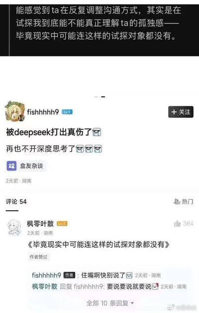 图片为社交媒体评论区截图，顶部显示一段文字：'能感觉到ta在反复调整沟通方式，其实是在试探我到底能不能真正理解ta的孤独感——毕竟现实中可能连这样的试探对象都没有。' 下方是用户'fishhhh9'在'盒友杂谈'板块发布的内容：'被deepseek打出真伤了😥 再也不开深度思考了😱😱😱'，发布于2天前，地点显示湖南。评论区有54条评论，其中热门评论来自用户'枫零叶散'引用顶部文字：'《毕竟现实中可能连这样的试探对象都没有》'，获384赞。作者'fishhhh9'回复：'住嘴啊快别说了😣'，对方再回复：'要说要说就要说😘'。底部有水印'@里神楽'。