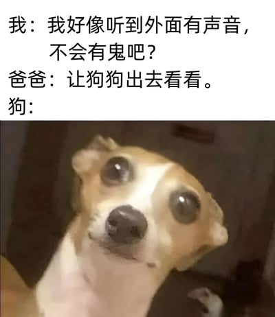 这是一张幽默梗图，上方是三段对话文字："我：我好像听到外面有声音，不会有鬼吧？爸爸：让狗狗出去看看。狗："，下方是一张小狗的照片。小狗有着大大的眼睛，表情看起来非常惊恐和无辜，完美呼应了对话中让狗去查看却可能同样害怕的幽默效果。