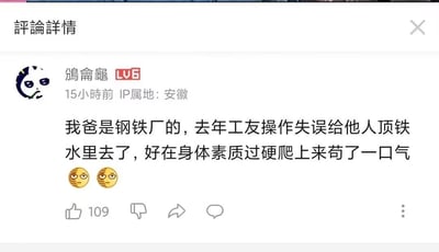 这是一张B站评论区的截图，用户“鴿龠龜”（IP属地安徽，账号等级LV6）在15小时前发布了这条评论，内容为自己的父亲是钢铁厂工人，去年因工友操作失误被顶进铁水里，凭借过硬的身体素质爬上来保住了性命，末尾搭配了两个带有无语、后怕情绪的表情包。该评论获得了109个点赞，整体传递出一种劫后余生的庆幸与对意外发生的无奈情绪，口语化的“苟了一口气”表述更添真实感。