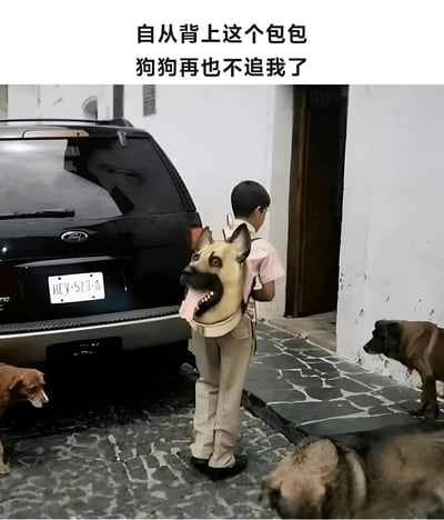 这张图片展示了一个人背对着镜头站在石板路上，背上背着一个造型逼真的狗头背包（类似德国牧羊犬）。周围有几只真实的狗狗，有的在观望，有的趴在地上。图片上方配有文字：'自从背上这个包包 狗狗再也不追我了'，幽默地表达了背包可能起到的威慑或迷惑狗狗的效果，整体氛围轻松搞笑。