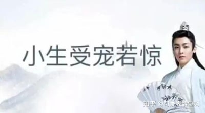 图片中是演员侯明昊在古装剧《我就是这般女子》中的剧照，他身着白色长袍，头戴发冠，手持折扇，背景为淡色山水。画面中央有醒目文字“小生受宠若惊”，采用半文半白的尴尬语录风格，是2024年底爆火的“古风小生”网络梗的典型表现形式，用于幽默调侃伪古风文化，唤起中二记忆。