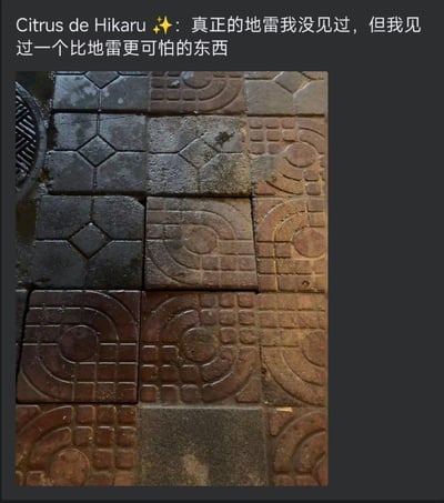 这是一张社交媒体截图，上方是用户“Citrus de Hikaru”的配文：“真正的地雷我没见过，但我见过一个比地雷更可怕的东西”，下方是一张潮湿的人行道地砖照片。这些地砖带有不同的环形、块状花纹，拼接在一起的视觉效果酷似地雷的外观，让人产生踩上去就会触发“地雷”的错觉，用户用夸张的比喻吐槽这种地砖设计带来的趣味视觉冲击。
