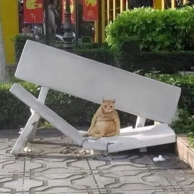 一只橘猫正淡定地坐在一张倒塌的白色长椅下，长椅呈45度角倾斜，形成一个天然的遮阳棚。猫咪表情严肃地直视镜头，仿佛在守护自己的领地。背景可见城市街道景观，有修剪整齐的绿色灌木丛和挂着红色招牌的店铺，营造出一种日常街头的轻松氛围。