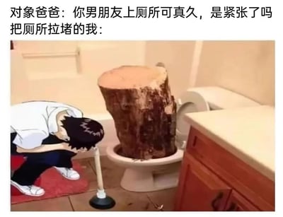 这是一张幽默梗图，上方文字描述了见家长时的尴尬场景：对象爸爸询问男朋友为何在厕所待太久，而「把厕所拉堵的我」则用下方图片回应——画面中一个动漫人物正跪地用皮搋子疏通马桶，马桶里竟有一个巨大的树桩，夸张地表现出厕所被严重堵塞的窘境，通过荒诞的视觉元素（树桩堵马桶）和生活化的尴尬场景（见家长时出糗）制造喜剧效果。