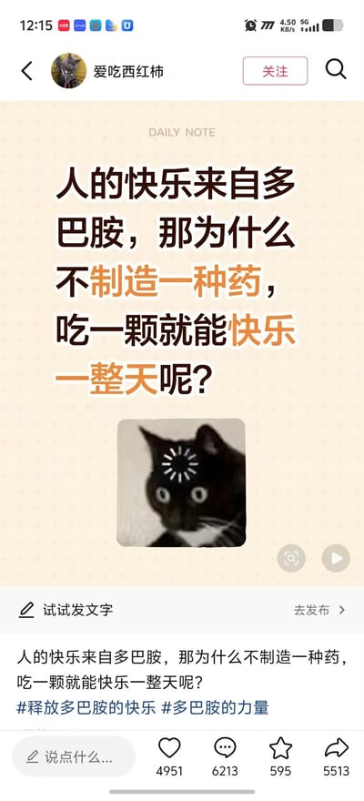 这是一张竖屏的社交媒体发布截图，发布者昵称是“爱吃西红柿”，截图内容主体是一段提问文字：“人的快乐来自多巴胺，那为什么不制造一种药，吃一颗就能快乐一整天呢？”，文字下方搭配了一张额头画有顿悟发光纹路、瞪大双眼的黑猫表情包，截图下方重复了提问文字，并添加了“#释放多巴胺的快乐 #多巴胺的力量”两个话题标签，同时显示该内容的互动数据：获赞4951、评论6213，该内容是一个脑筋急转弯式玩梗，原标题已经点破这个提问所描述的“快乐药”本质就是毒品。