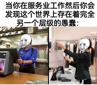 这是一张左右对比的服务业工作者表情包，上方配有文字'当你在服务业工作然后你会发现这个世界上存在着完全另一个层级的愚蠢:'。左侧图中是一位穿着蓝色制服的超市收银员，面部被替换成夸张的痛哭表情包；右侧图中是一位穿着黑色职业装的服装店店员，正递给顾客购物袋，面部同样被替换成愤怒痛哭的表情包。通过夸张的表情和对比场景，幽默地表达了服务业工作中遇到各种令人无奈的顾客行为时的崩溃心情。