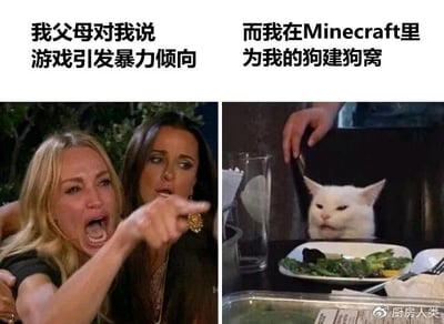 这是一张左右对比的改编梗图，左侧截取了美国真人秀《比弗利娇妻》中女性愤怒指责的画面，搭配文字“我父母对我说 游戏引发暴力倾向”，表现出长辈对电子游戏的刻板负面印象；右侧使用知名网红“沙拉猫”的梗图画面，搭配文字“而我在Minecraft里为我的狗建狗窝”，展现了玩家在《Minecraft》中进行的充满温情与创造力的真实游戏日常。通过这种强烈的反差，调侃了长辈对电子游戏的误解，说明并非所有游戏都充满暴力，很多玩家在游戏中进行的是建设性的、温馨的活动。