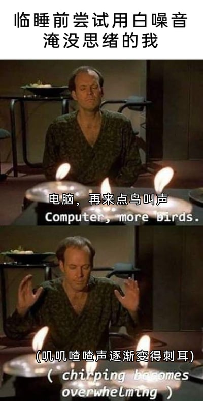这是一张基于影视截图改编的上下两格梗图，上方的标题文字“临睡前尝试用白噪音淹没思绪的我”点明了场景背景。第一格画面中，人物闭目端坐，配文“电脑，再来点鸟叫声”，表现出想通过鸟叫类白噪音平复思绪、辅助睡眠的期待状态；第二格画面里，人物双手抬起，面露烦躁，配文“(叽叽喳喳声逐渐变得刺耳)”，生动展现了白噪音音量过大后，反而从助眠音变成干扰源，让人更加烦躁的翻车经历，精准戳中了很多人尝试白噪音助眠时遇到的尴尬状况，充满日常搞笑的共鸣感。