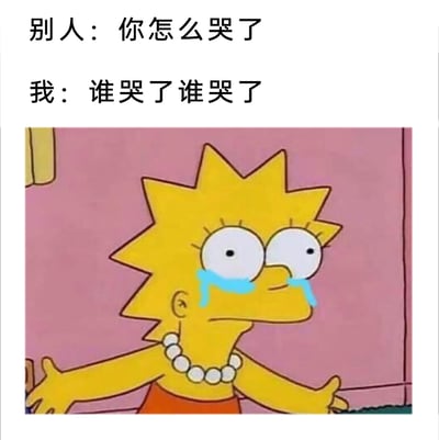 这是一张改编自动画《辛普森一家》的网络表情包，图中是动画角色丽莎·辛普森，她双眼圆睁，脸上挂着清晰的泪痕，双臂向两侧摊开，配合上方的两段对话文字：“别人：你怎么哭了”“我：谁哭了谁哭了”，精准地刻画了明明正在委屈哭泣，却倔强嘴硬不肯承认的状态，十分贴合人们在难过时不想被他人看穿情绪的心理，常被用于社交平台来表达自己嘴硬又委屈的复杂心情。