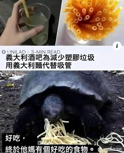 这是一张多图拼接的搞笑梗图，由三个部分组成：左上是一只手使用意大利面当作吸管饮用杯中的饮品；右上是被制作成吸管形态的意大利面，呈放射状摆放；中间配有文字说明“意大利酒吧为减少塑胶垃圾，用意大利面代替吸管”；下方是一只乌龟正在大口啃食地上的意大利面，配文“好吃，終於他媽有個好吃的食物”。该梗图结合了海龟曾误食塑料吸管的相关新闻，将环保创意与动物的反应结合，通过反差感制造幽默效果，调侃了用意大利面替代塑料吸管的环保方案对动物更为友好，属于地狱笑话类的搞笑创作。