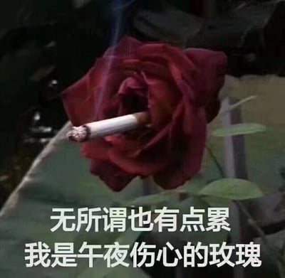 一张静态图片，展示了一朵深红色的玫瑰花，花中心插着一支点燃的香烟，香烟正冒着一缕青烟。图片底部有两行白色文字：'无所谓也有点累 我是午夜伤心的玫瑰'。整体色调偏暗，营造出一种忧郁、疲惫的氛围。这张图通过将象征爱情的玫瑰与代表解压或伤害的香烟结合，再配上表达疲惫情绪的文字，形成了一种反差感，表达了当代年轻人的某种情绪状态。