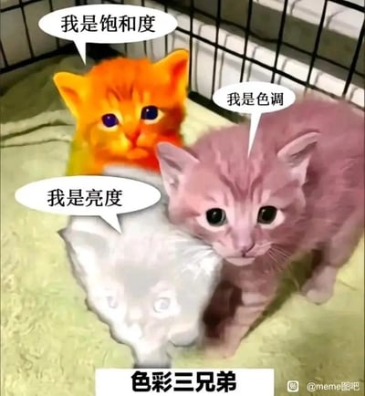 图片中三只颜色各异的小猫依偎在类似宠物笼的环境中，每只小猫都配有对白气泡：橙色小猫说“我是饱和度”，粉色小猫说“我是色调”，白色小猫说“我是亮度”，底部配有文字“色彩三兄弟”。画面通过拟人化的可爱小猫形象，生动诠释了色彩三要素（饱和度、色调、亮度），风格轻松幽默，兼具科普性和趣味性。