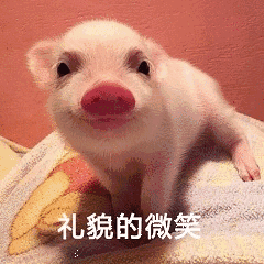 礼貌微笑的小猪