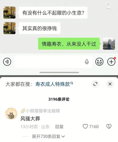 这是一张包含社交平台聊天记录和评论区的截图，上方为微信风格的双人对话：一名网友询问有没有不起眼但很挣钱的小生意，另一名网友回复“情趣寿衣，从来没人干过”；截图下方是该内容的评论区，显示有3196条总评论，高赞评论来自用户“小熊猫猫拳法蝴蝶”，内容为“风骚大葬”，该评论获得7160个点赞，评论上方还显示相关搜索词条“寿衣成人特殊款”。整张图通过将殡葬用品与情趣用品的属性强行结合，制造出荒诞的反差感，属于搞笑玩梗内容。