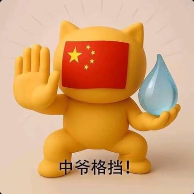 图片中是一个黄色卡通猫咪形象，面部被中国国旗图案替代。猫咪呈站立姿势，左腿在前右腿在后，左手做出格挡手势，右手托举着一个蓝色透明的水滴状物体。背景为浅色，有简单的放射状线条装饰。底部配有文字“中爷格挡！”，整体风格幽默诙谐，结合了爱国元素与卡通形象。