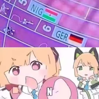 图片由上下两部分组成。上半部分是一个显示板，上面有国家代码“NIG”和“GER”以及对应的旗帜图案。下半部分是两个动漫风格的猫娘角色，左边的猫娘有着金色短发和粉色眼睛，表情惊讶，手指着自己胸前的字母“N”；右边的猫娘同样是金色短发但有着绿色眼睛，表情较为平静地看着旁边。整体画面采用了动漫风格的绘画手法，色彩鲜明。