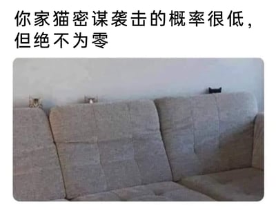 这是一张图文结合的搞笑宠物图，上方配有文字“你家猫密谋袭击的概率很低，但绝不为零”，下方是一张灰色布艺组合沙发的实拍照片。在沙发靠背的顶端，分别有三只猫咪只露出自己的小脑袋，从左到右依次是花纹猫、浅色猫和黑猫，它们躲藏在沙发后方，仅露出头部的样子仿佛在暗中观察、密谋着什么，和上方的配文完美呼应，生动又搞笑地调侃了猫咪喜欢暗中观察、古灵精怪的天性，让看到的人会心一笑。