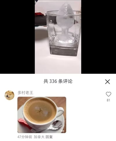 图片分为上下两部分。上半部分展示了一个透明玻璃杯中放着一块形状奇特的冰块，冰块呈现出类似男性生殖器的造型。下半部分是社交媒体的评论区截图，显示共有336条评论，其中一条来自用户"多村老王"的评论获得了81个赞，该评论包含一张咖啡图片，杯中是带有拉花的咖啡，评论发布于47分钟前，地点显示为加拿大。