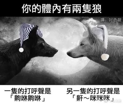 这是一张改编自经典迷因“你体内有两只狼”的搞笑梗图，采用左右对比的黑白构图，属于顶配底文的模板改编图。画面背景是一轮满月，两只分别戴着蓝白条纹睡帽、浅条纹睡帽的黑狼与白狼面对面对视，图中文字将原本探讨内心矛盾的严肃模板进行搞笑改编，玩起了谐音与拟声梗：左边黑狼的打呼声“齁咻齁咻”模拟类似猪的呼噜声，右边白狼的打呼声“鼾～咪咪”谐音“哈士奇”，用这种反差感制造笑点。图的右上角标注有“译:好色龙”的翻译标注，右下角带有“@鹦鹉画”的水印。