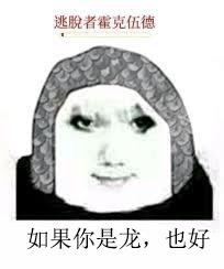 这是一张游戏衍生的搞笑改编表情包，将《黑暗之魂3》中NPC“逃脱者霍克伍德”的经典台词“如果你是龙，也好”与一张带有夸张妆容的怪异合成人脸图像结合，用戏谑的方式玩游戏台词梗，既可以在游戏玩家社群中用来玩相关的游戏梗，也能借这句台词表达一种不管对方是什么都接受的无所谓、摆烂的情绪，风格滑稽搞笑。