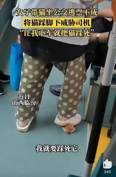 这是一段拍摄于山西临汾公交车内的视频截图，画面中一名女子因带猫乘坐公交逃票不成，做出极端残忍的行为：将一只小猫踩在自己的脚下，并且叫嚷着“我就要踩死它”，以此威胁公交司机。画面里可以看到女子的脚和被踩在脚下的小猫，同时配有字幕完整说明事件的前因后果，整个场景展现出该女子的冲动与残忍，极易引发观者的不适与愤怒情绪。
