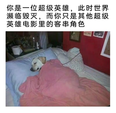 这是一张充满反差感的趣味梗图，上方的文字构建了一个紧张的场景：作为超级英雄，正逢世界濒临毁灭的危机时刻，但自己只是其他超级英雄电影里的客串角色。下方则是一只狗狗惬意地躺在床上，裹着粉色被子熟睡，神态放松安逸。文字设定的危机场景和狗狗摆烂躺平的状态形成强烈反差，调侃了那些在重大事件中因为自己是边缘角色就选择事不关己、躺平摆烂的心态，精准契合当下年轻人喜爱的“摆烂”情绪，充满搞笑趣味。