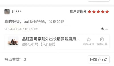 这是一张电商平台的商品评价截图，显示用户"哄***"对一款肛塞产品给出了五星好评。评论内容为"真的好爽，but我有痔疮，又疼又爽"，时间显示为2024-06-07 01:59:32。商品信息显示为"品肛塞可穿戴外出长期佩戴男用..."，颜色选择为小号【入门款】。截图还显示被点赞数为0，并有回复/互动按钮。