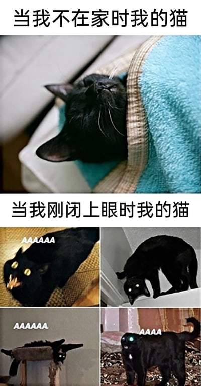 这是一张精准戳中养猫人日常的对比梗图，上半部分展示了主人不在家时，一只黑猫惬意地窝在猫窝里，闭着眼睛睡得十分安稳，配文“当我不在家时我的猫”；下半部分由四张经过修改的黑猫图片组成，猫咪通过视觉错位、AI生成或P图呈现出各种诡异、夸张的形态，还配有“AAAAAAA”的拟声文字，配文“当我刚闭上眼时我的猫”，用强烈的反差感调侃猫咪在主人不在家时安静乖巧，一旦主人准备睡觉就变得吵闹折腾，完美还原养猫人的真实经历，引发养猫群体的共鸣。