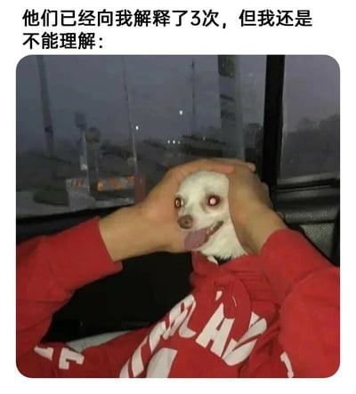 这是一张图文结合的搞笑表情包，上方配有文字“他们已经向我解释了3次，但我还是不能理解：”，下方的实拍照片里，一只吉娃娃被穿红色连帽衫的人用双手按住脑袋，狗狗眼睛瞪大、舌头外伸，神态呆滞混乱，仿佛大脑已经过载，完美呼应了配文里多次被解释但依然无法理解的状态，用动物的搞笑神态具象化了人在面对难以理解的内容时的崩溃、茫然与窘迫，十分生动有趣，能让有类似经历的人产生强烈共鸣。