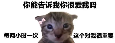 图片中是一只戴着粉色蝴蝶结的小猫特写，它有着大大的圆眼睛，正直视前方。图片上方配有文字“你能告诉我你很爱我吗”，下方左侧为“每两小时一次”，右侧为“这个对我很重要”。整体通过小猫可爱的形象与略带“霸道”的撒娇请求相结合，营造出俏皮又温馨的氛围，常用于表达亲密关系中的可爱互动或宠物向主人的“撒娇”场景。