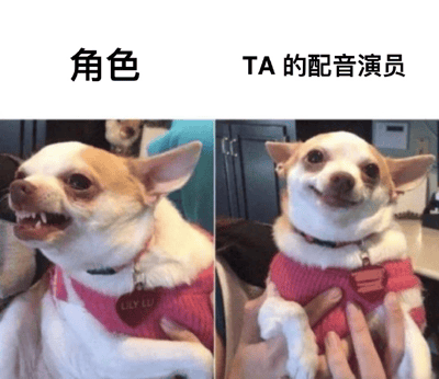 图片分为左右两部分，左侧上方标注“角色”，下方是一只穿着粉色毛衣的吉娃娃，嘴巴张开露出牙齿，表情看起来有些凶狠；右侧上方标注“TA 的配音演员”，下方是同一只吉娃娃，表情温和，嘴角上扬露出微笑，通过同一只狗的不同表情形成角色与配音演员的反差萌幽默效果。