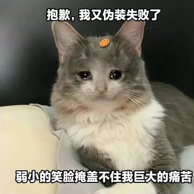 这是一张猫咪表情包，顶部配字“抱歉，我又伪装失败了”，底部配字“弱小的笑脸掩盖不住我巨大的痛苦”，用来表达内心巨大的痛苦和无奈，外表却不得不装出笑容，极具网络自嘲、emo气质。适用于朋友圈、社交平台的“伪装坚强”类吐槽场景。此图中有明显的情感对比和自嘲意味，没有双关和暗示梗。