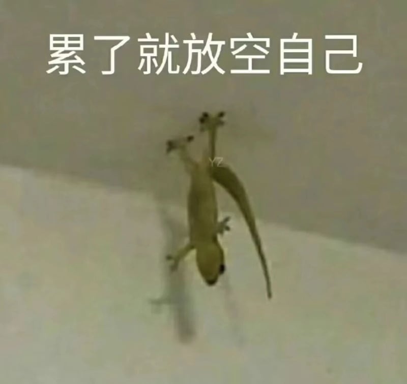 壁虎